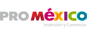 Curso grupal curso autodidacta Curso individual curso personalizado en vivo curso online curso presencial de concentración, curso de comprensión lectora y curso de lectura rápida cursos de lectura de excelencia Promexico concentración comprensión lectora y lectura rápida Lectura de excelencia