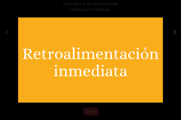 retroalimentación inmediata